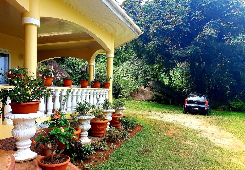 Zahrada ubytování SeyBreeze Villa