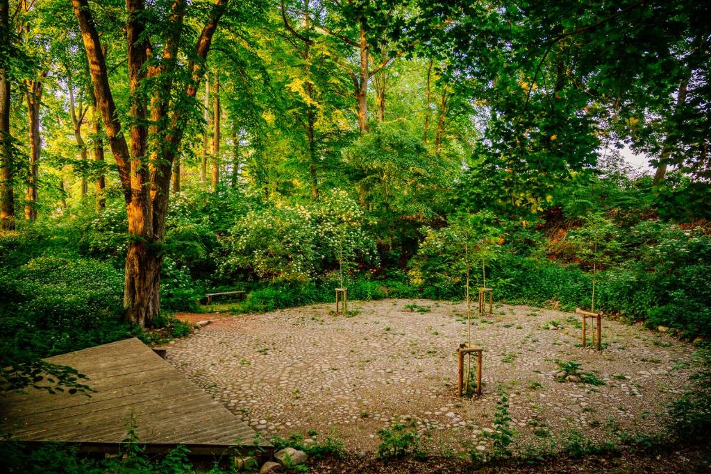 a garden with trees and a dirt area with benches at Gut Boltenhof in Fürstenberg