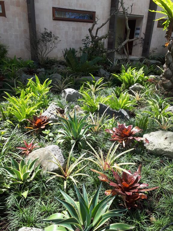 Krisna House - Photo 4