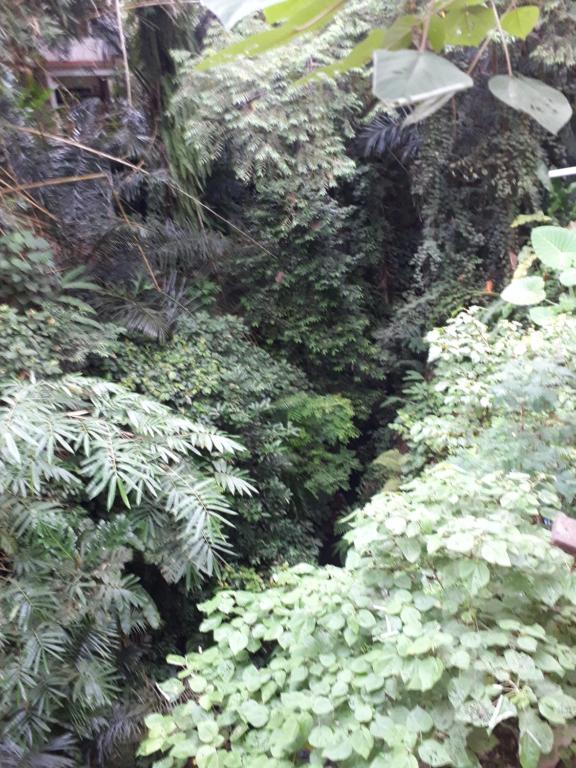 Krisna House - Photo 2