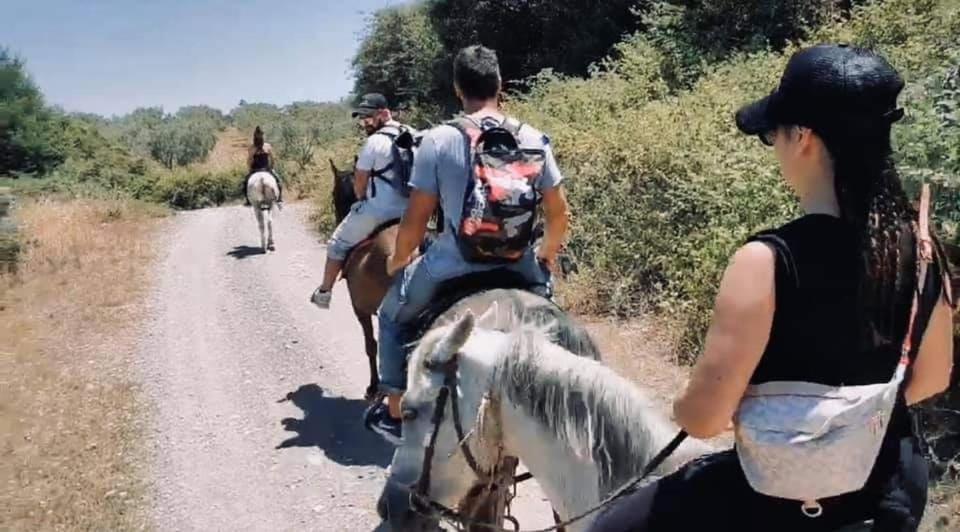 Hostia v ubytovaní Kedra Village