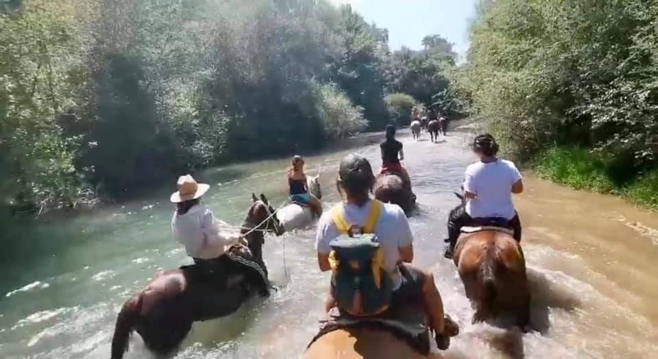 Hostia v ubytovaní Kedra Village