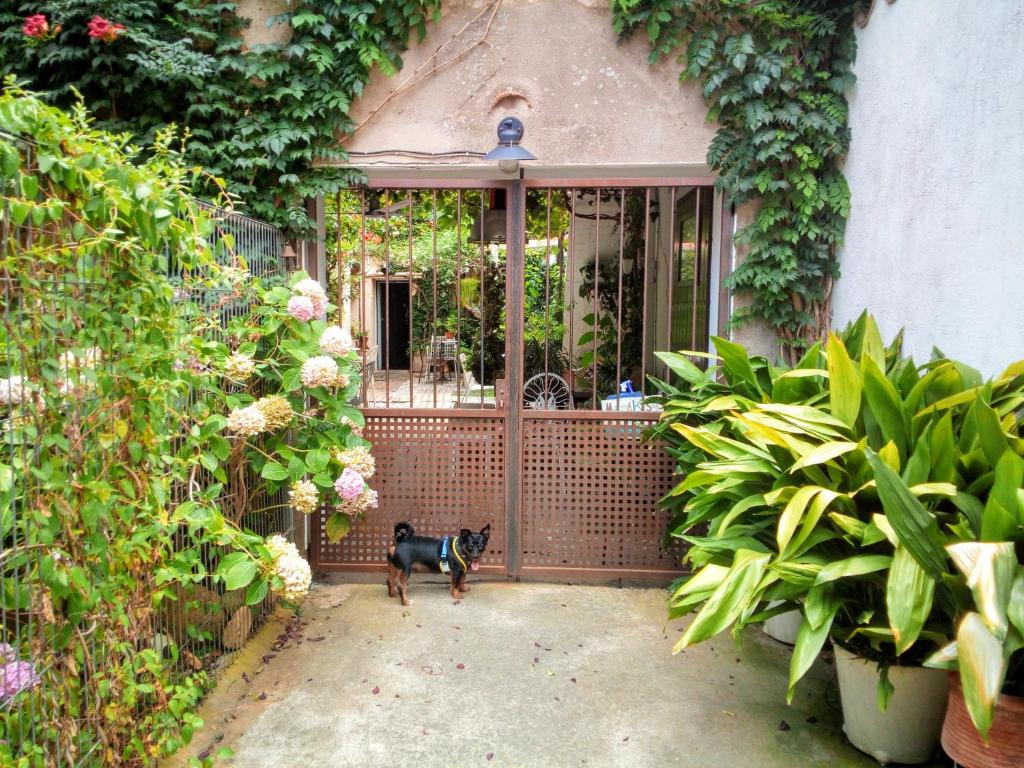 Vonkajšia záhrada v ubytovaní Marakasa B&B