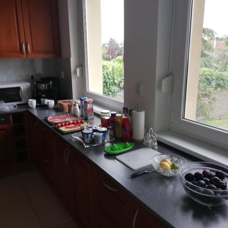 Kuchyň nebo kuchyňský kout v ubytování Rezident consult s.r.o.