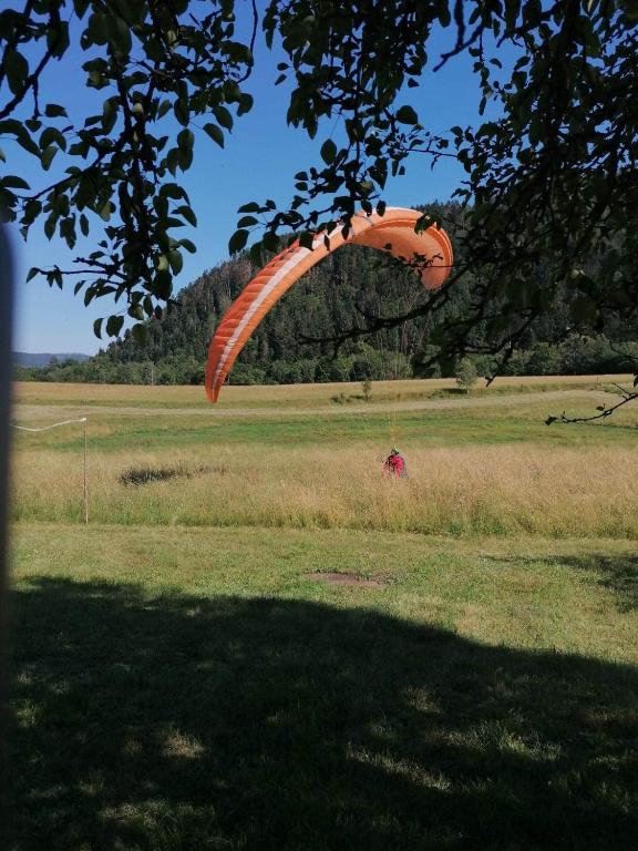 a large orange kite flying in a field at Gite la Tourbiere in Fellering