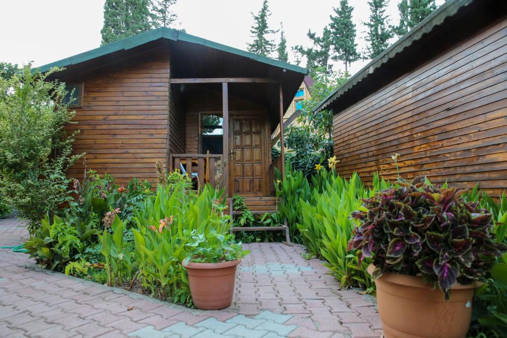 Zahrada ubytování Duran Bungalow