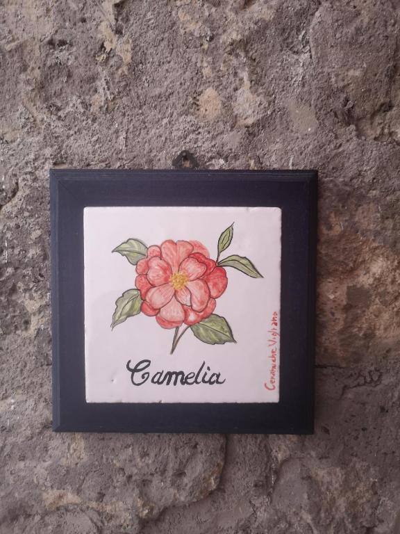 Agriturismo Il Giardino di Vigliano - 14