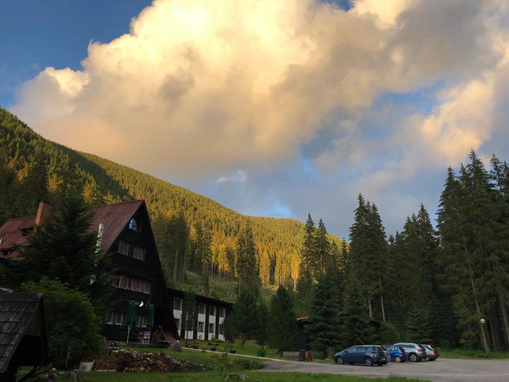 Příroda nedaleko hotelu