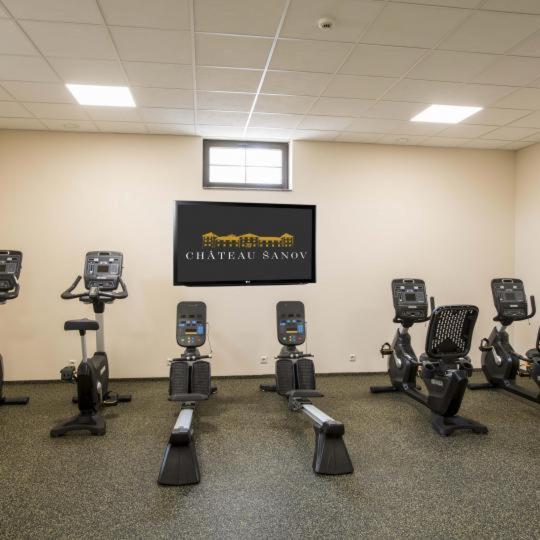 Fitness centrum a/nebo fitness zařízení v ubytování Château Šanov