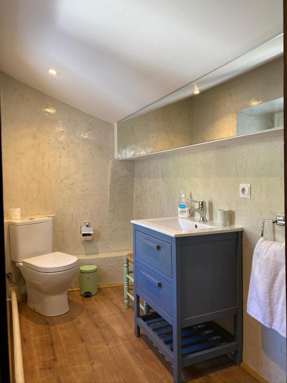 Koupelna v ubytování Apartamento Dúplex Llivia