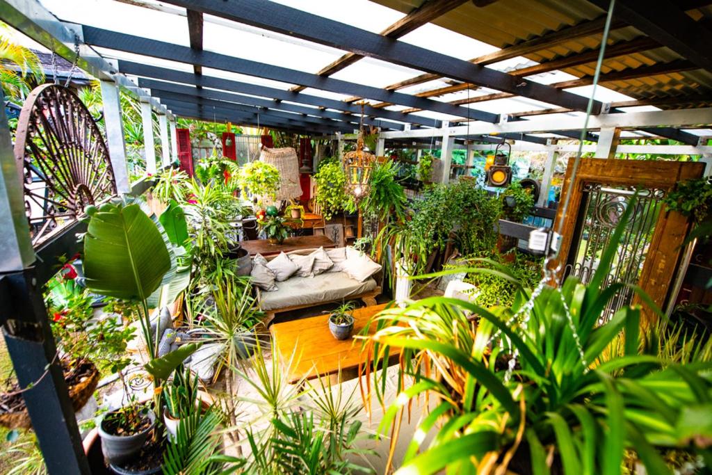 a living room filled with lots of plants at Jaspers Apartments in Brunswick Heads