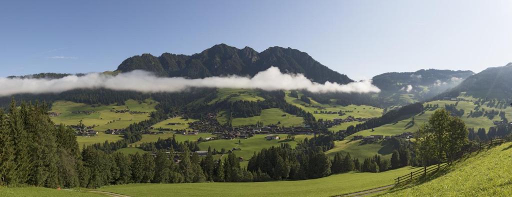 einen grünen Hügel mit Bäumen und einem Berg mit Wolken in der Unterkunft Haus Valentina in Alpbach