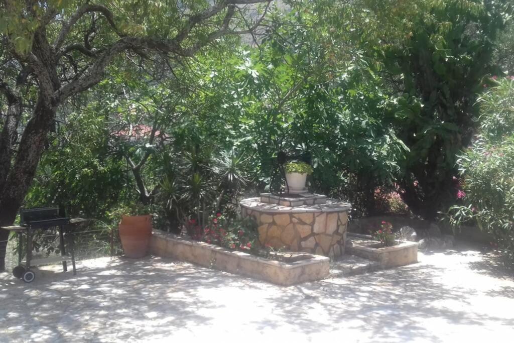 Zahrada ubytování Yria Suite Zakynthos
