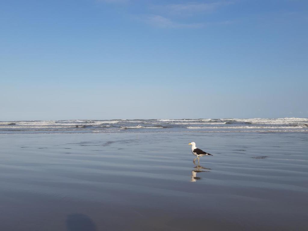  Apto espaçoso com vista para o mar na Praia Grande