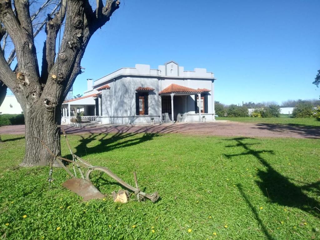 un árbol en el césped delante de una casa en Casa Mansa Puro Campo en Lobos