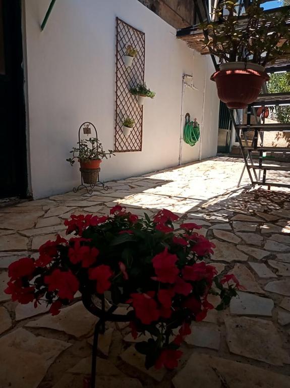 Fotografie z fotogalerie ubytování Yria Suite Zakynthos v destinaci Katastárion