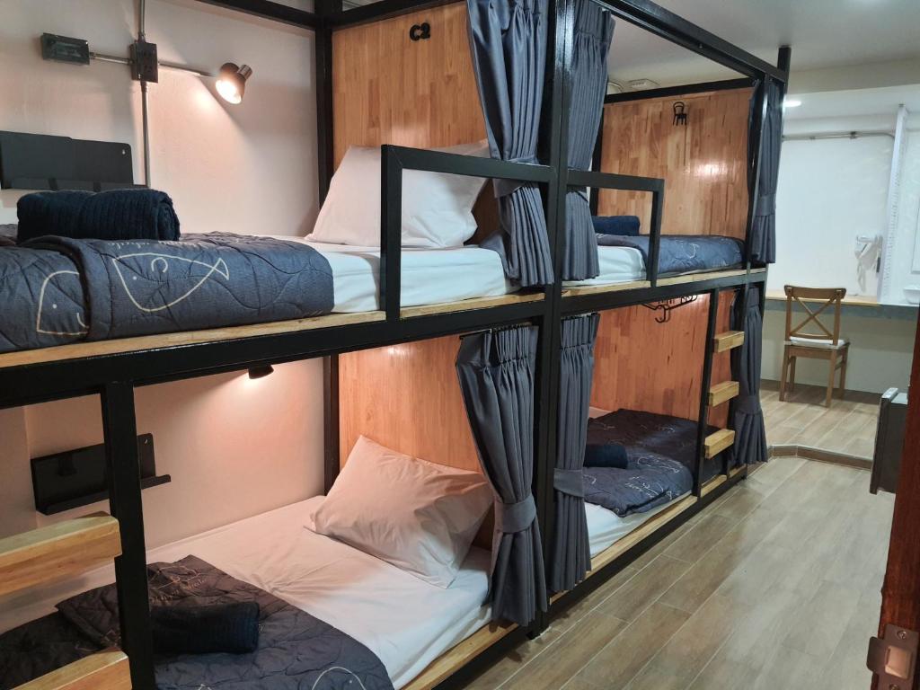 曼谷Station8 Hostel的房间里的一组双层床