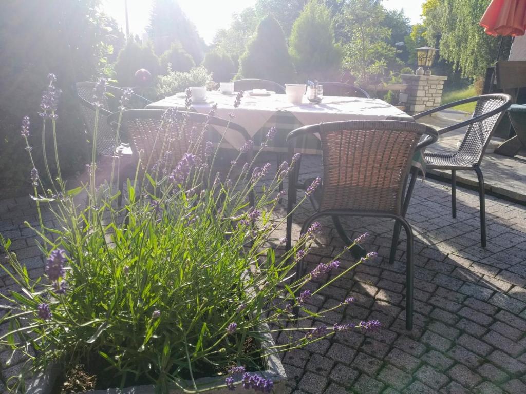 Frühstückspension Helmhof - 13