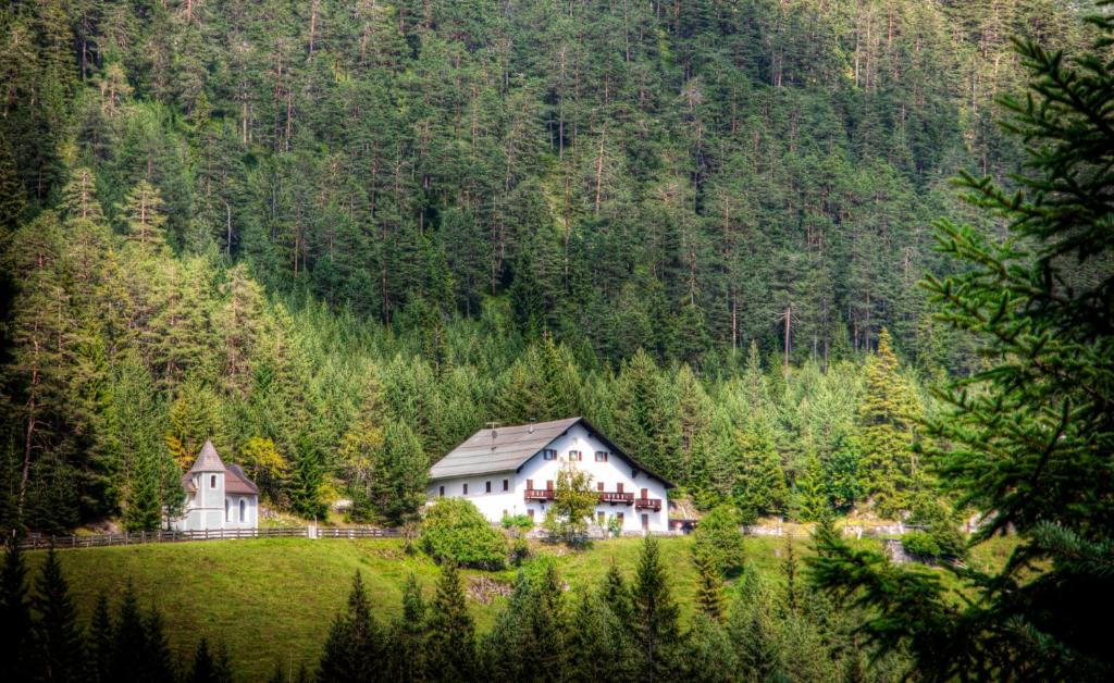 Příroda nedaleko bed and breakfast