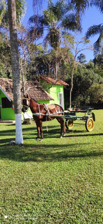  Pousada Casa Verde Baú