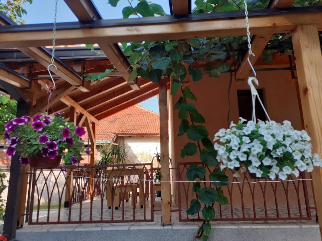Fotografie z fotogalerie ubytování Apartmani Jelica FREE PARKING v destinaci Vranje