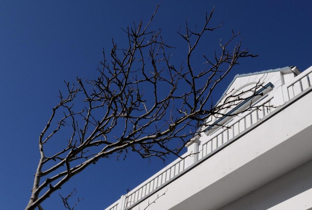 ノルダーナイにあるHotel Aquamarinの白い建物の上に座る木