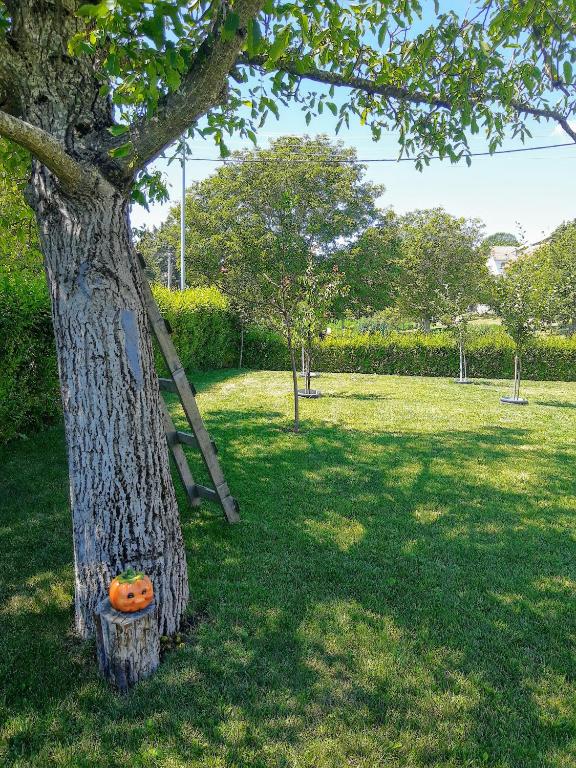 Kuća Vila Nina - Villa Con Vista Al Jardín