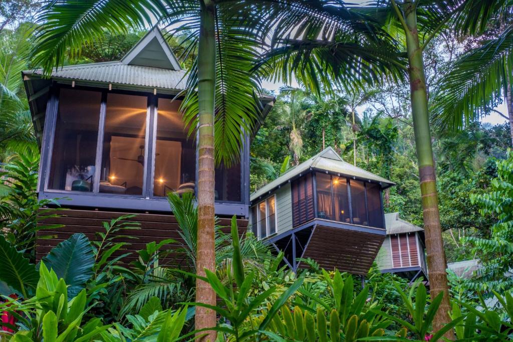 a house in the jungle with palm trees at Daintree Ecolodge in Daintree