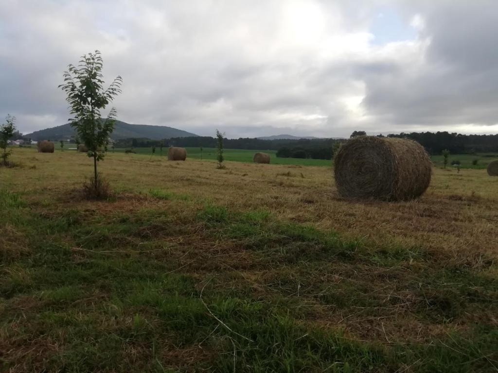 Príroda v okolí apartmánu