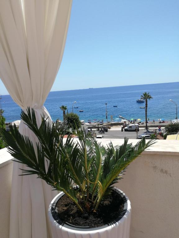 a plant in a pot on a balcony overlooking the ocean at B&B Il Mare degli Dei in Letojanni