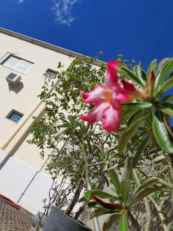  Hotel Executivo