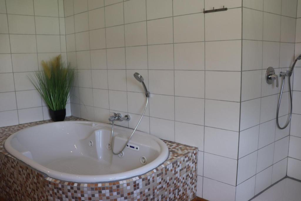 Haus-Dorfidyll في Spangenberg: حوض استحمام في حمام مع دش