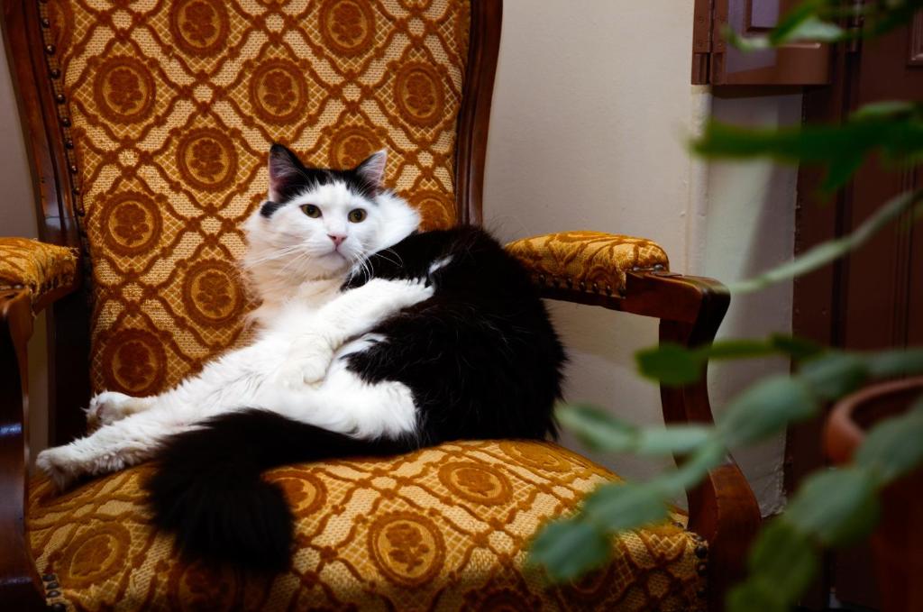 Hôtel Héliot, Cosy Places by Charme & Caractère - Resim 45