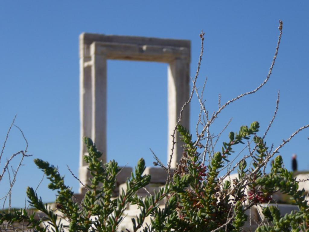 einen Spiegel an der Seite eines Gebäudes mit Bäumen in der Unterkunft Hotel Villa Flora in Naxos Chora