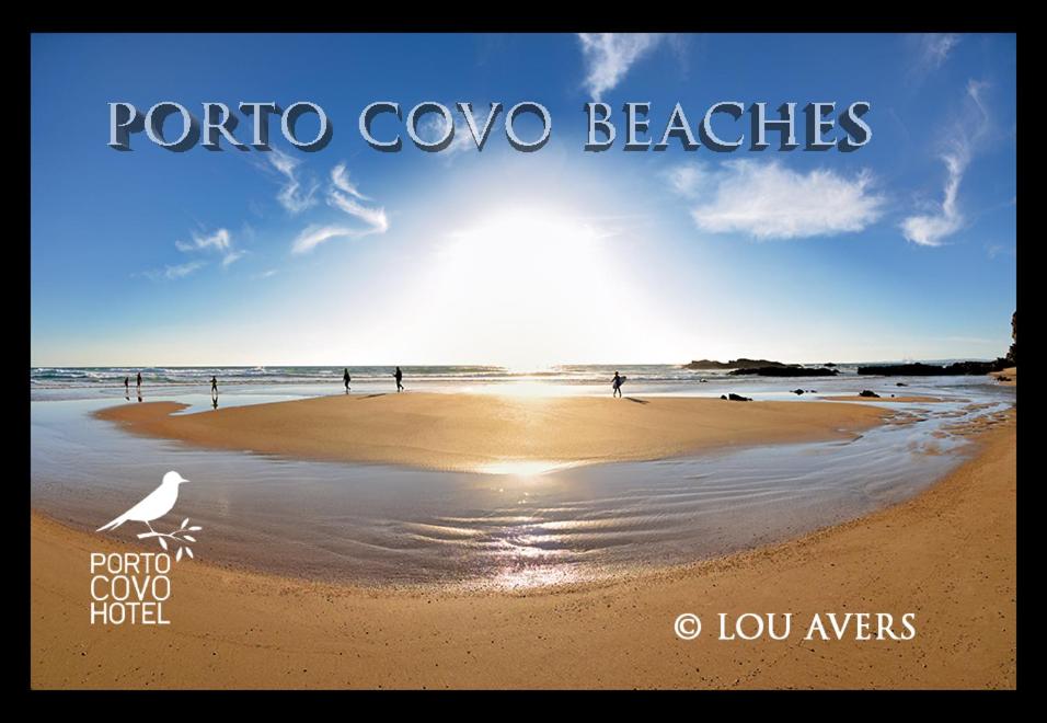 a picture of a beach with a bird on the sand at Hotel Apartamento Porto Covo in Porto Covo