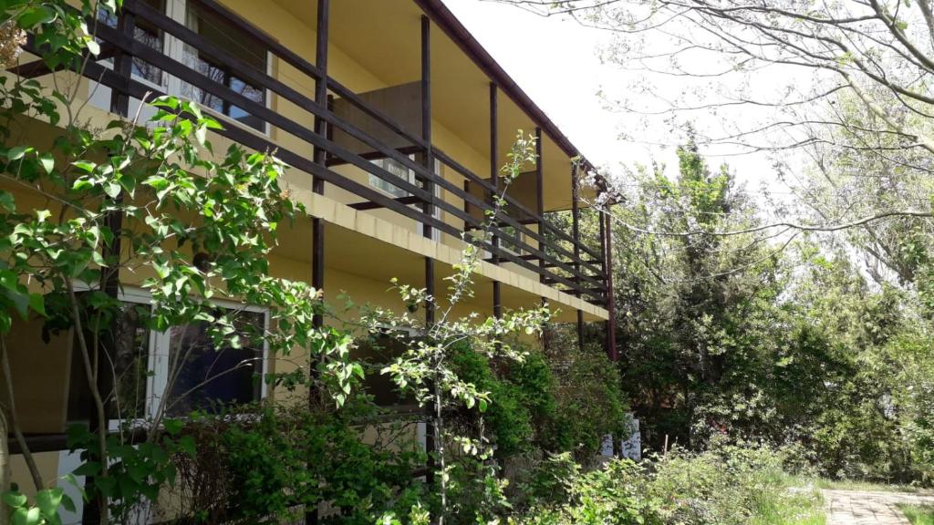 a building with windows and plants on the side of it at vila catrini in Costinesti