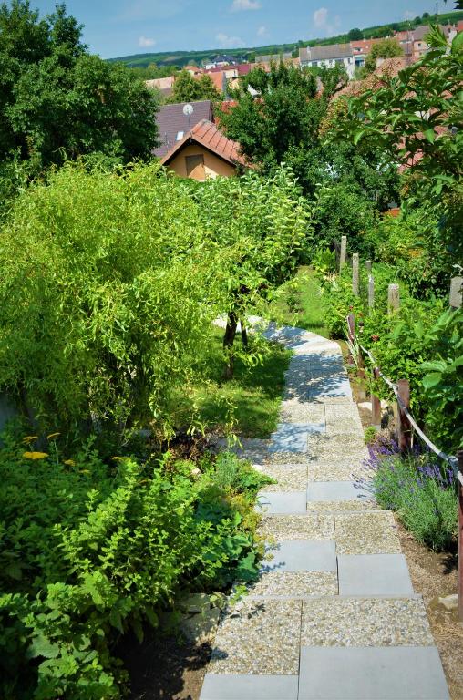 Příroda nedaleko apartmánu