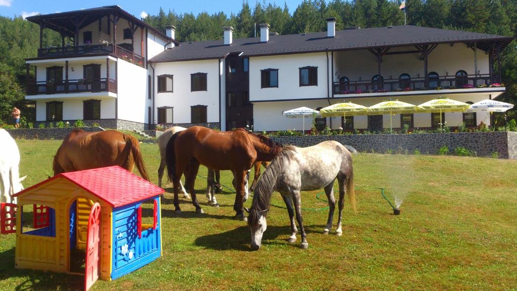 een groep paarden die grazen in een veld naast een gebouw bij Rusaliite Adventure House in Bachevo