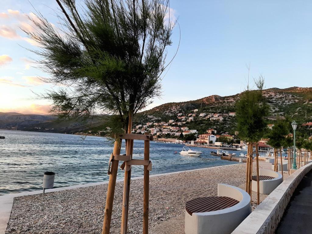 a group of trees on a beach near the water at Room Luka in Sveti Juraj