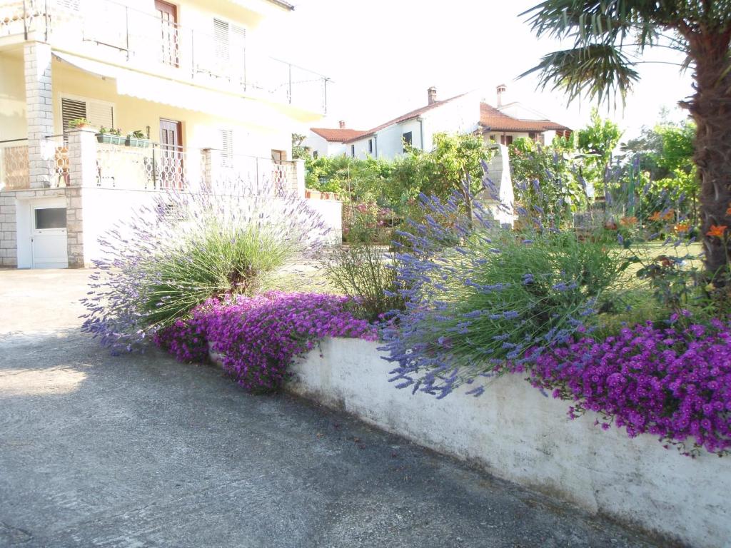 una pared de retención con flores púrpuras frente a una casa en Guest House Jasmin, en Rovinj