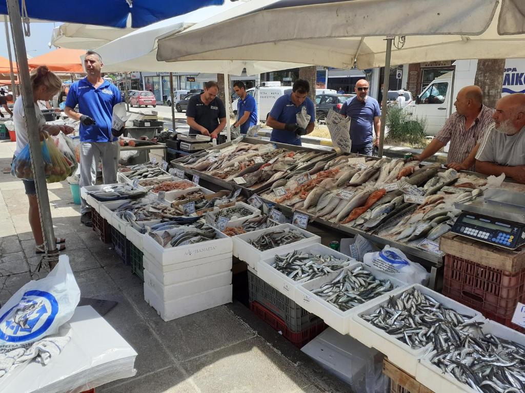 ELENI's House-Near the Old Railway Station - 19