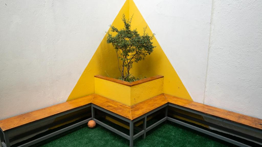  Quintal Hostel