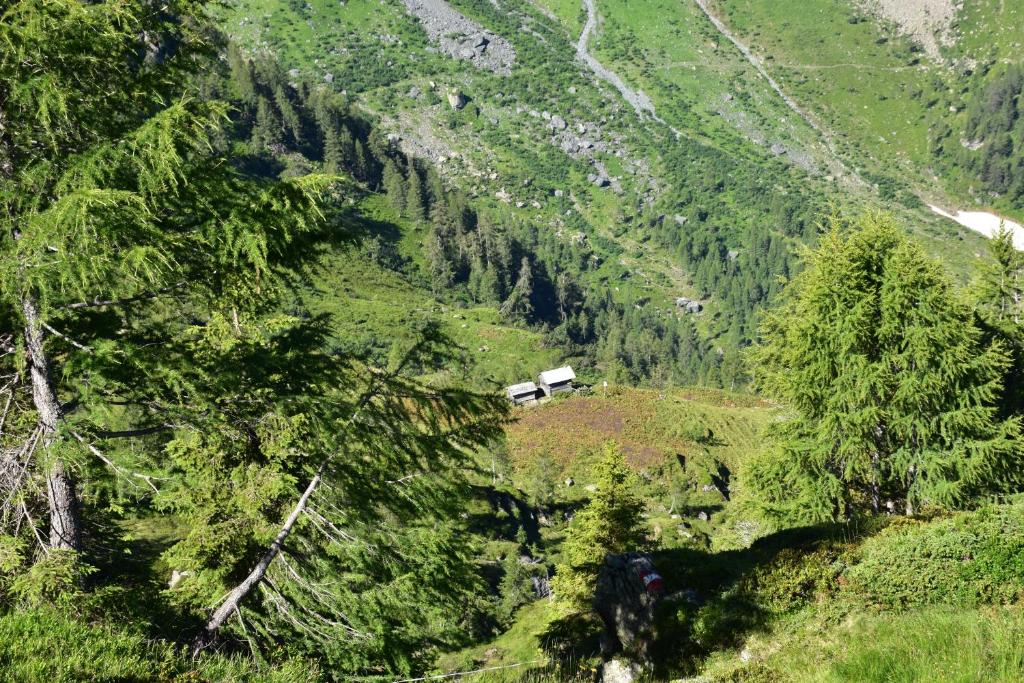 Príroda v okolí apartmánu