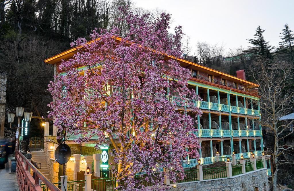 fioletowe drzewo przed budynkiem w obiekcie hotel Magnolia in the city centre w Kutaisi