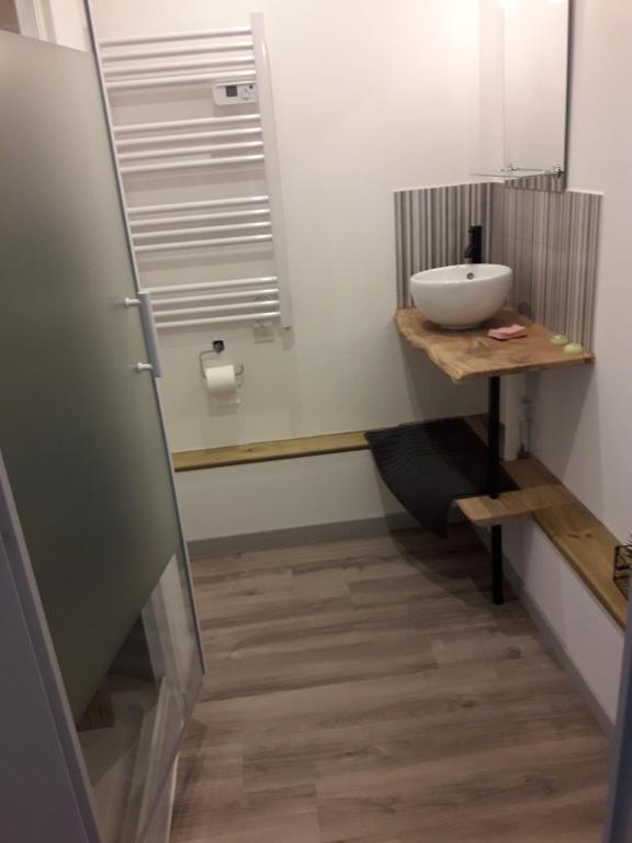 a small bathroom with a sink and a counter at studio 1ere étage dans maison privée in Saint-Jacques-sur-Darnétal
