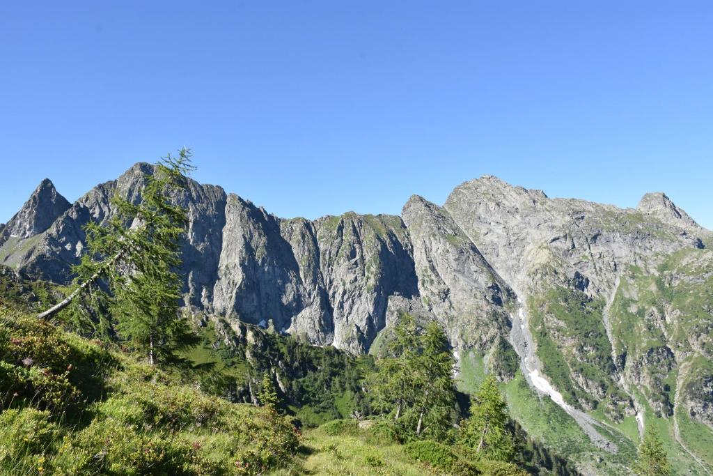 Príroda v okolí apartmánu