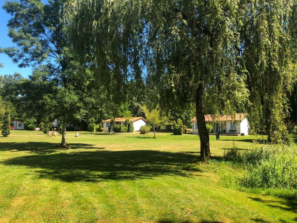 un albero in un campo con una casa sullo sfondo di L'étang des Mirandes a Varaignes