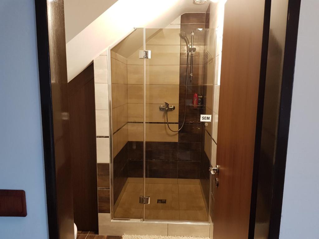 bagno con doccia e porta in vetro di Sklep u Čejků a Mutěnice