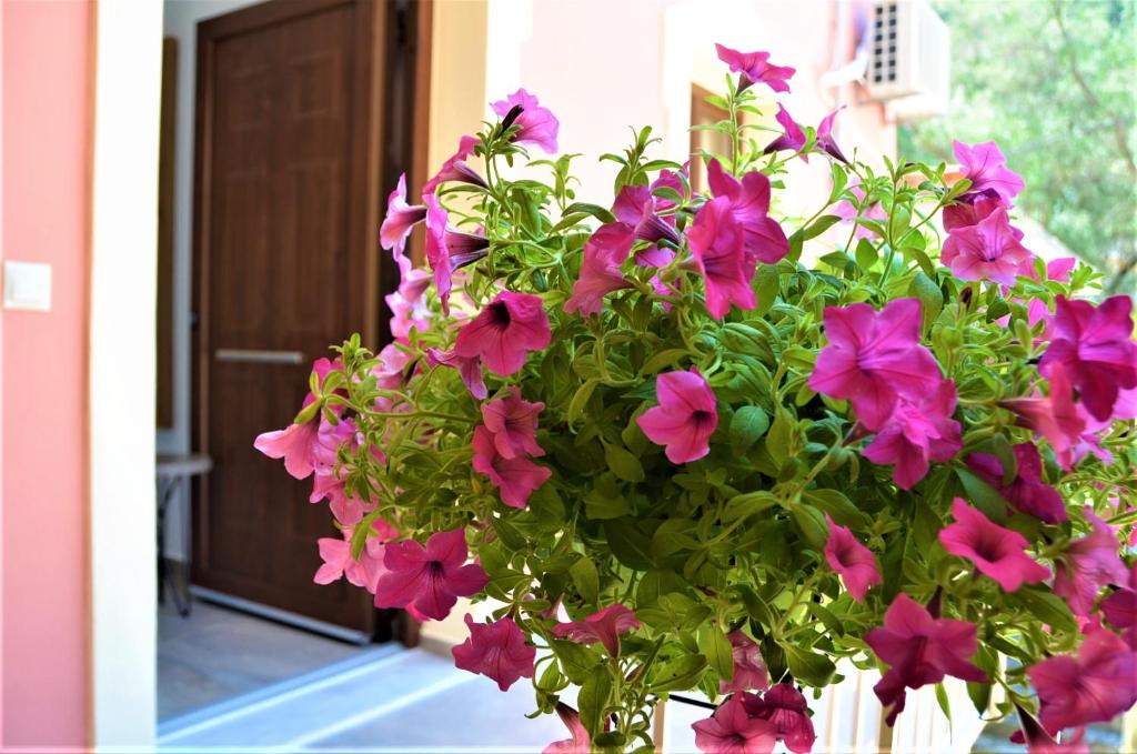 Aed väljaspool majutusasutust Pagiatakis Suites
