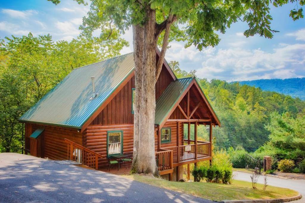 una cabaña en el bosque con un árbol en Bear Climbing Getaway en Pigeon Forge